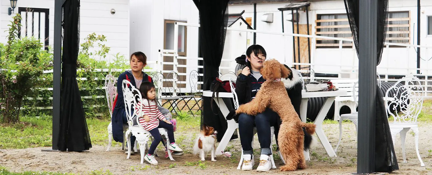 ลานวิ่งเล่นสำหรับสุนัข