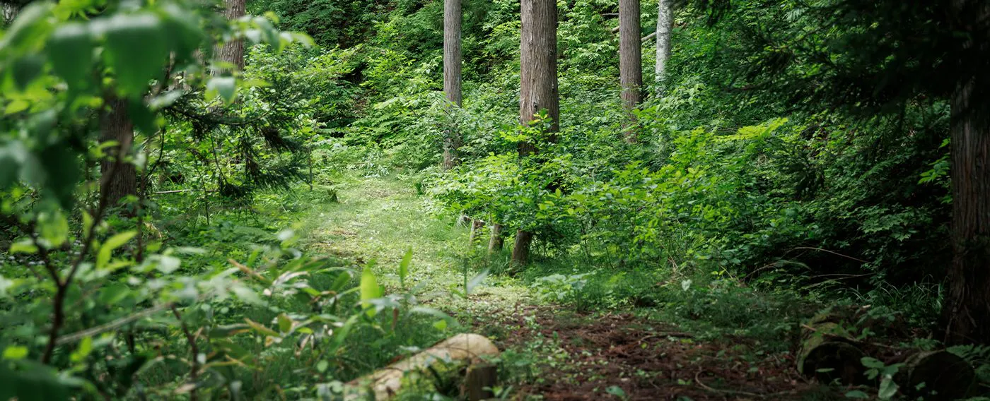 บริเวณใกล้เคียง