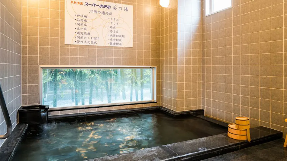Natural Hot Spring Aoi no Yu Super Hotel Okazaki