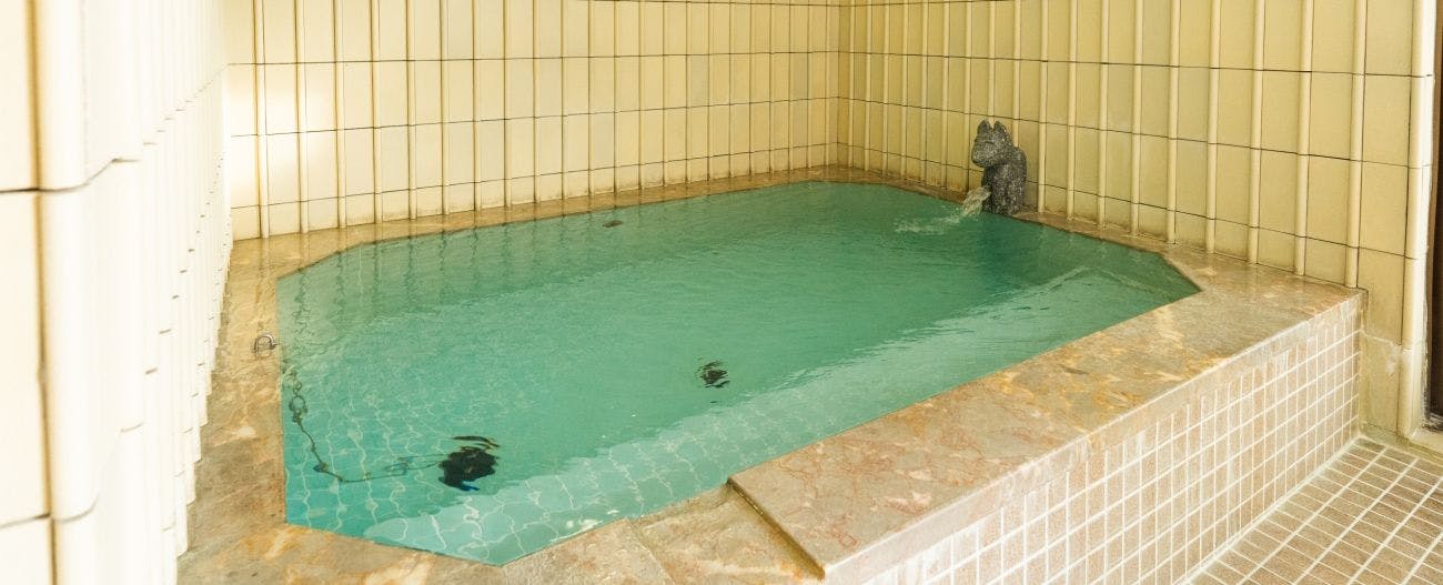 Large Onsen Bath