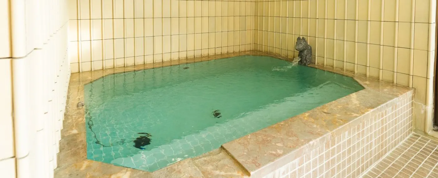 Large Onsen Bath