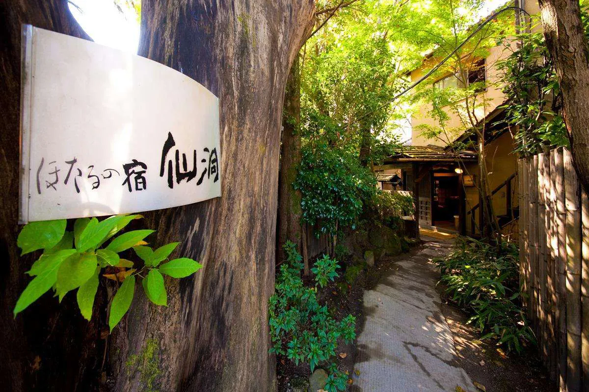 ภายนอก ทางเข้า