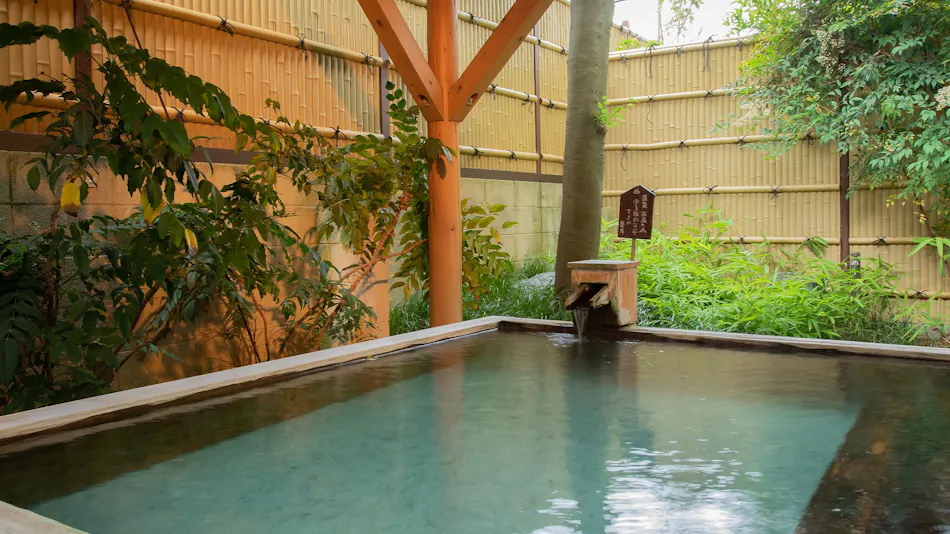 Suwakoen Inn by Lake Suwa