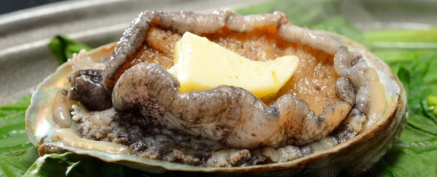 Ajigasawa Onsen Suigun no Yado