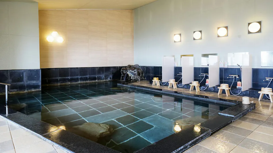 Hotel Seiryu Japanese Spa inn with spectacular view in Osaka