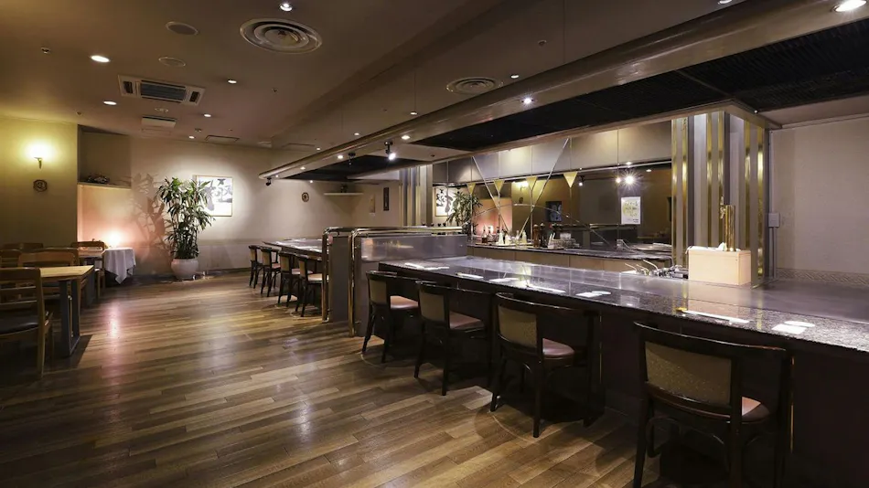 Hotel Seiryu Japanese Spa inn with spectacular view in Osaka