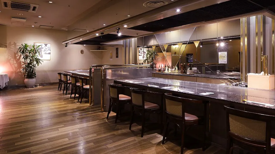 Hotel Seiryu Japanese Spa inn with spectacular view in Osaka