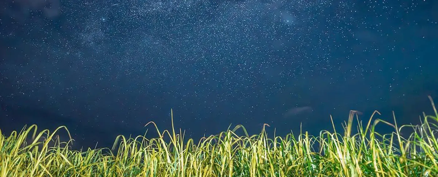 ท้องฟ้าที่เต็มไปด้วยดวงดาว