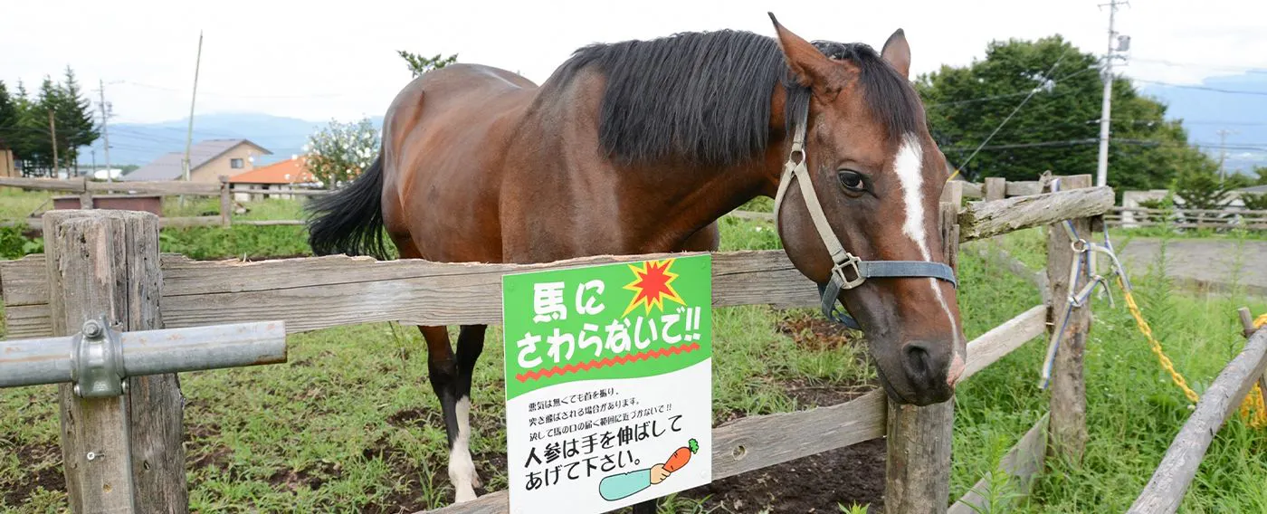 ภาพ a_tpc_tp_221104.jpg.jpg