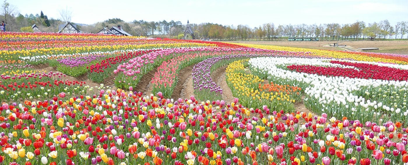 ที่ราบสูงฮิรุกาโนะ