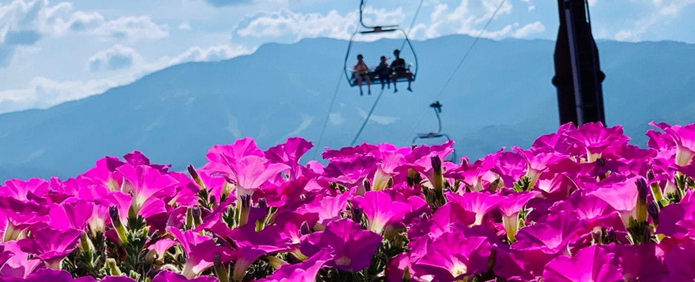 ฮิรุงาโนะ โคเก็น ฮานะ