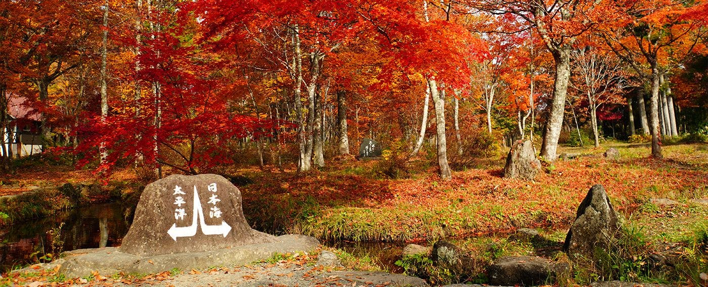 ที่ราบสูงฮิรุกาโนะ ฤดูใบไม้ร่วง