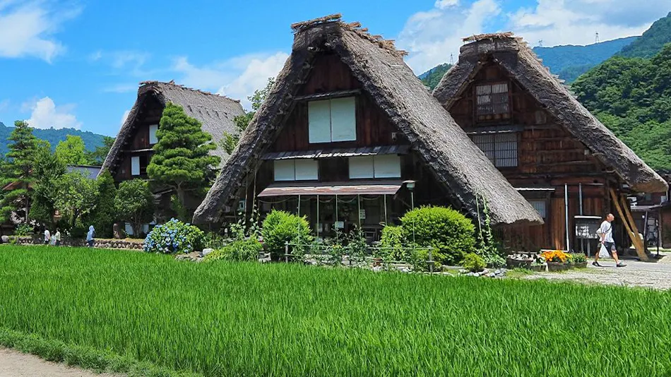 Chez Soi Wakamiya
