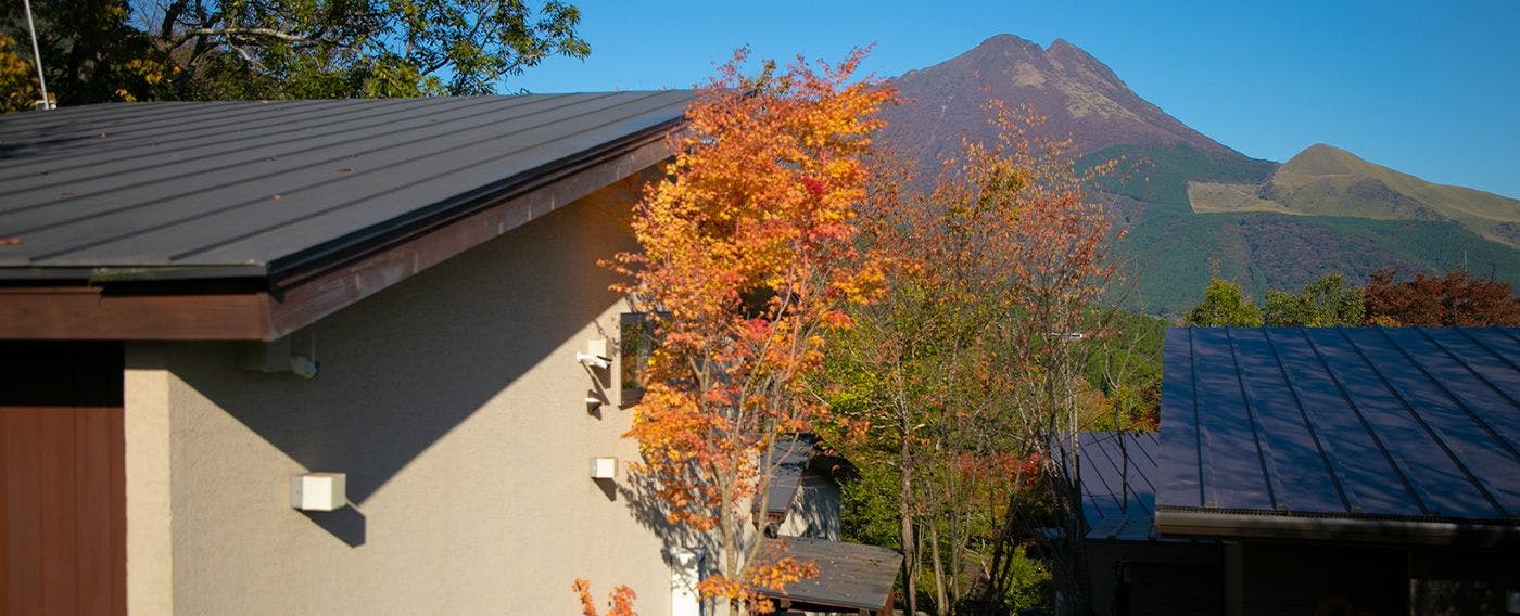 รอบๆ สิ่งอำนวยความสะดวก