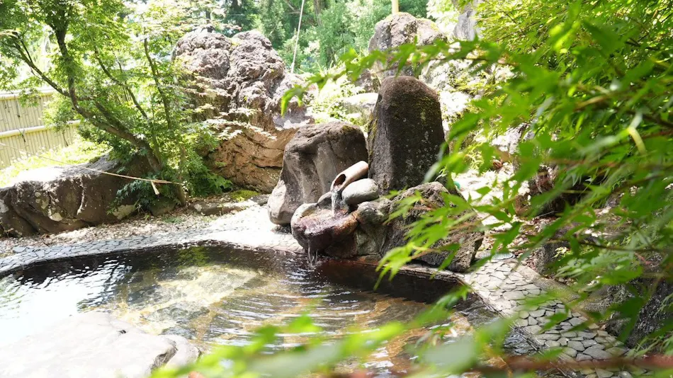 Hidden Onsen of Uonuma: Relaxation Retreat