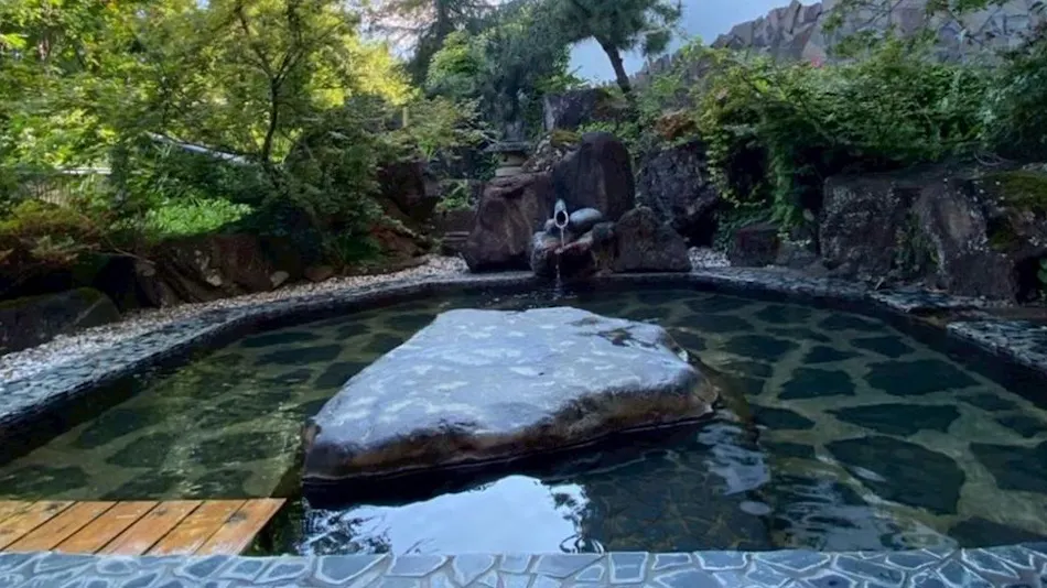 Hidden Onsen of Uonuma: Relaxation Retreat