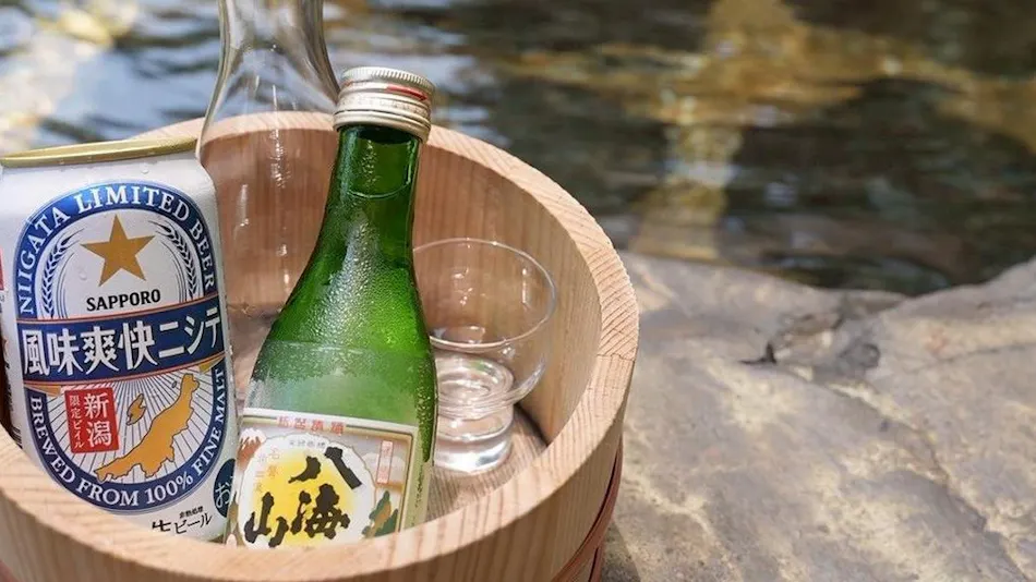 Hidden Onsen of Uonuma: Relaxation Retreat
