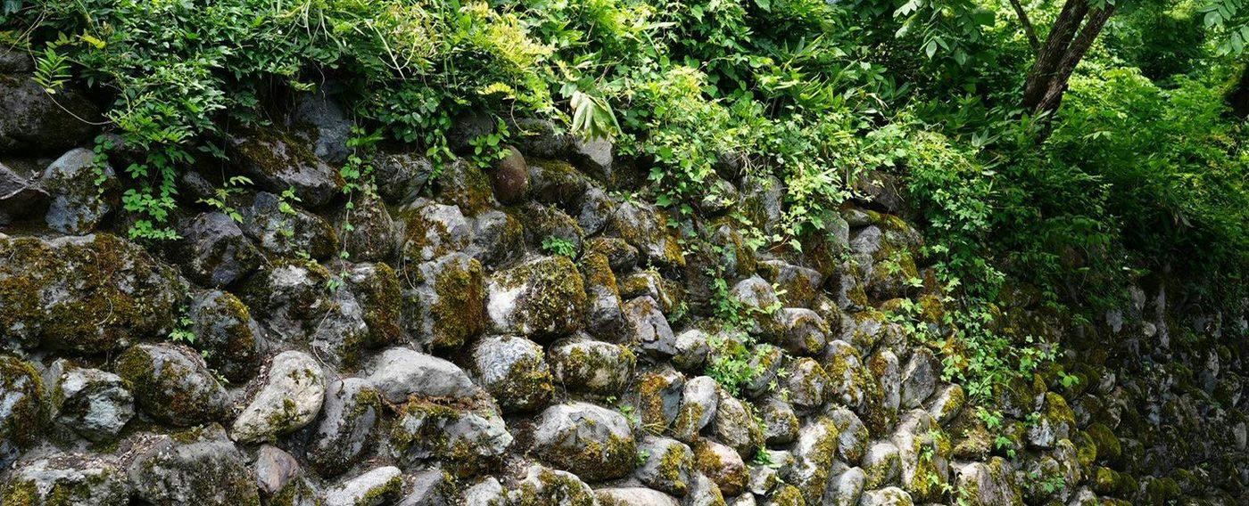 Hidden Onsen of Uonuma: Relaxation Retreat