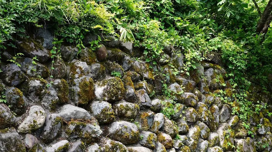 Hidden Onsen of Uonuma: Relaxation Retreat