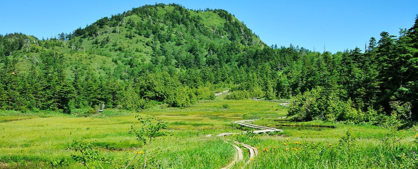 Summer in Shiga Kogen