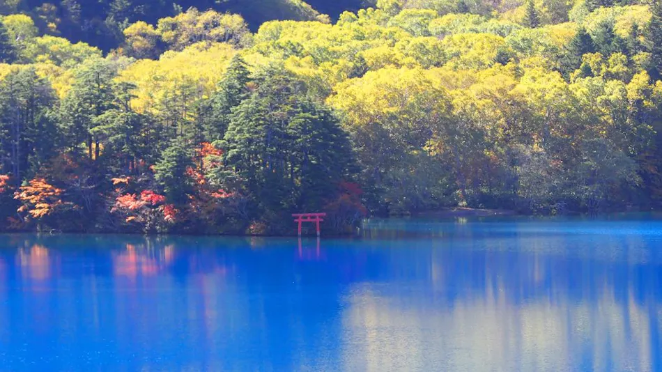 Hotel Ichinose