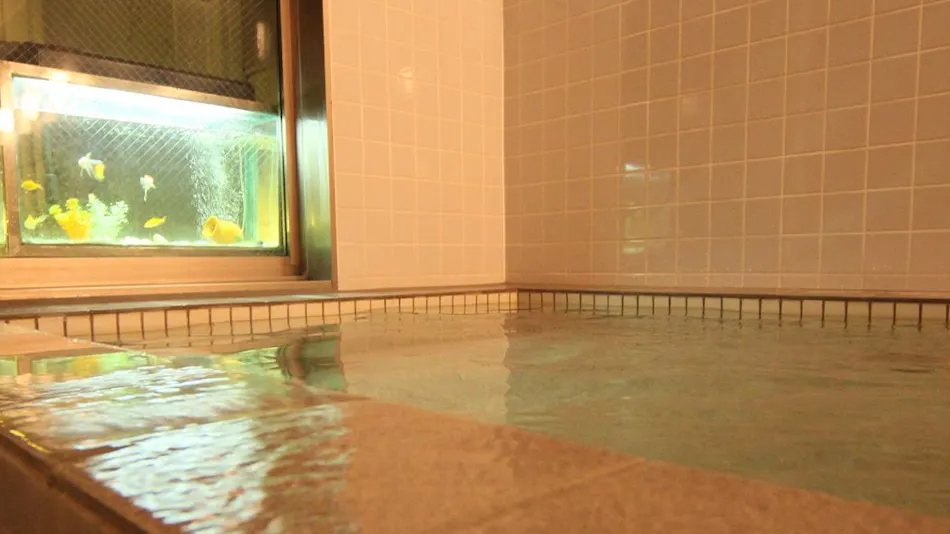 Echigoya Ryokan