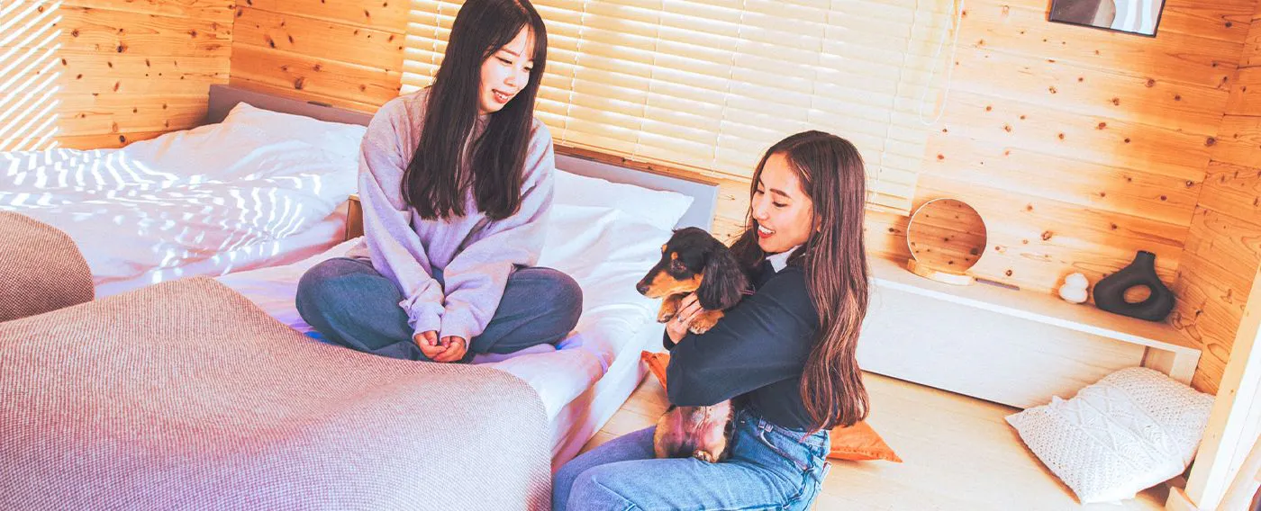 ภาพลักษณ์การเข้าพักพร้อมสัตว์เลี้ยง