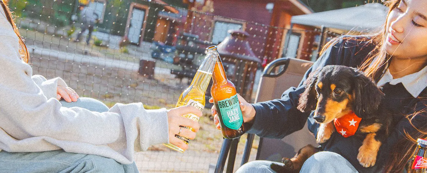 ภาพลักษณ์การเข้าพักพร้อมสัตว์เลี้ยง