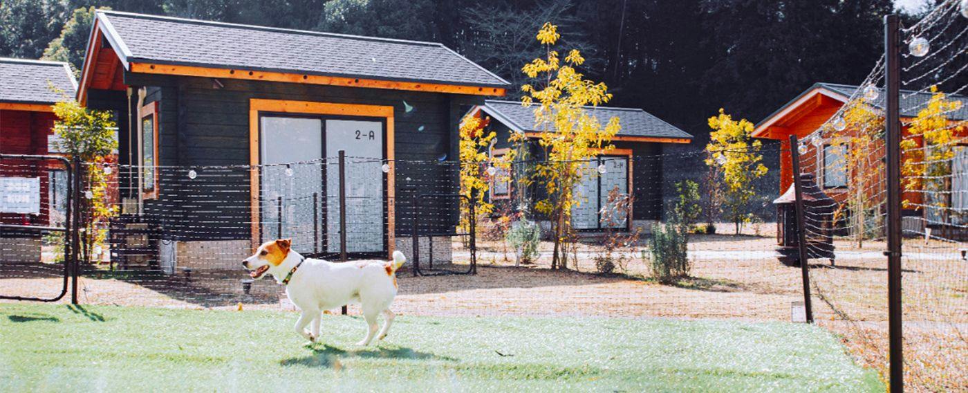 Outdoor Resort 'ETOWA KISARAZU' Surrounded by Nostalgia and Trees