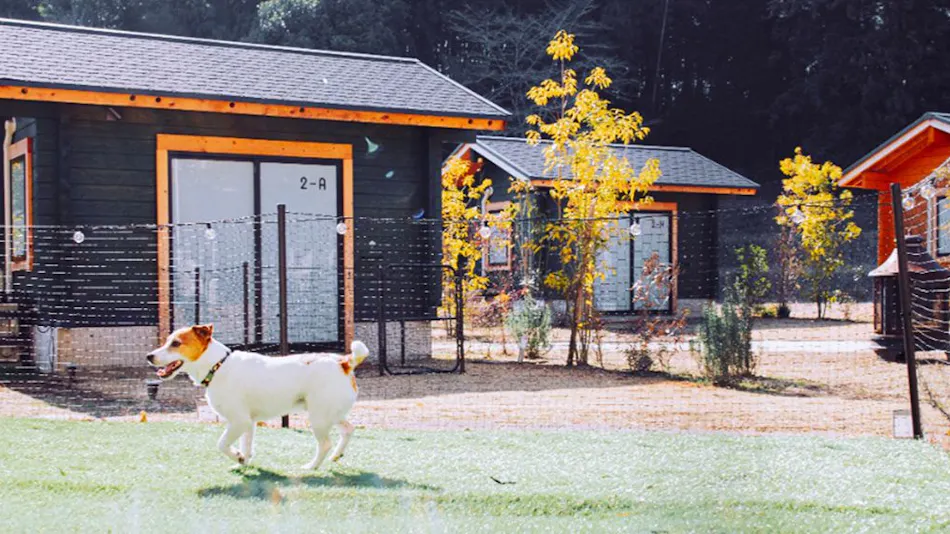 Outdoor Resort 'ETOWA KISARAZU' Surrounded by Nostalgia and Trees