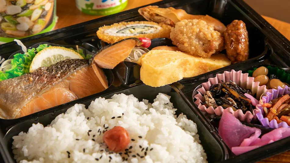 Hitoyoshi Kamishiro Inn