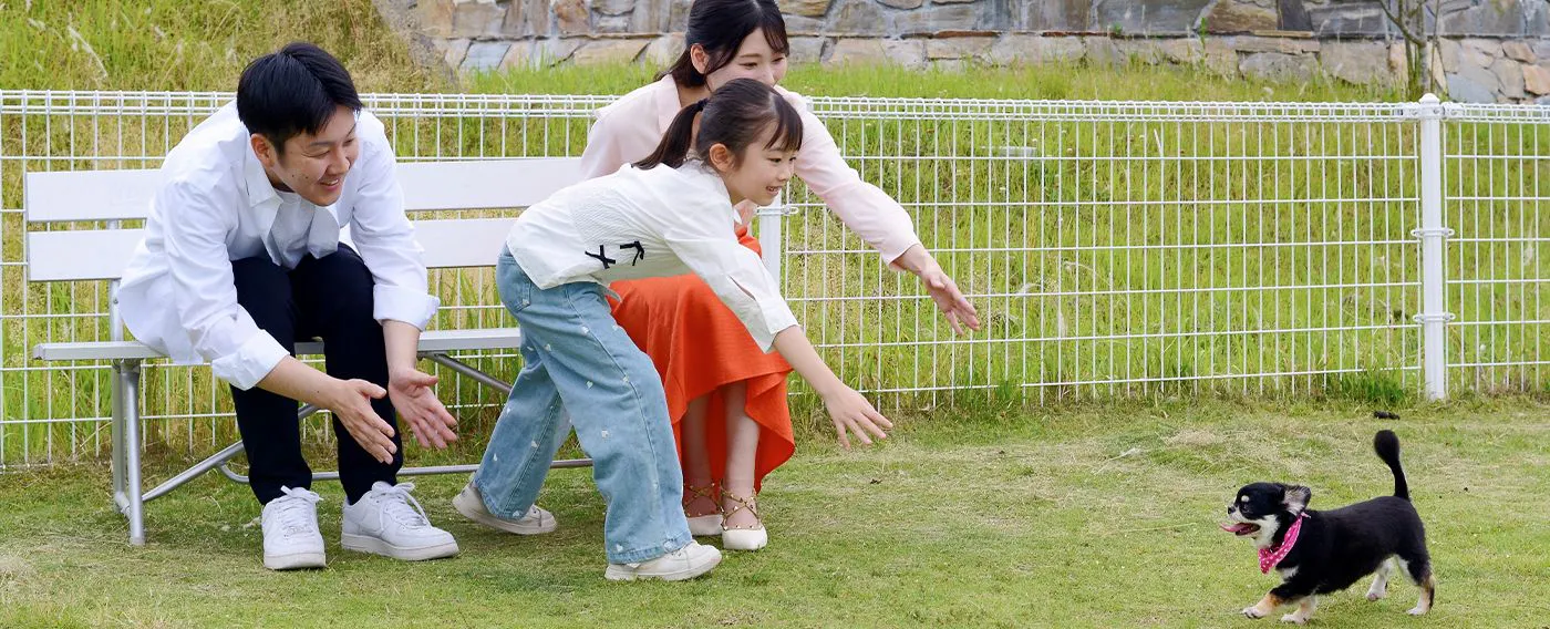 สนามวิ่งสุนัขกว้างขวาง ให้น้องหมาได้ผ่อนคลายและสดชื่น!