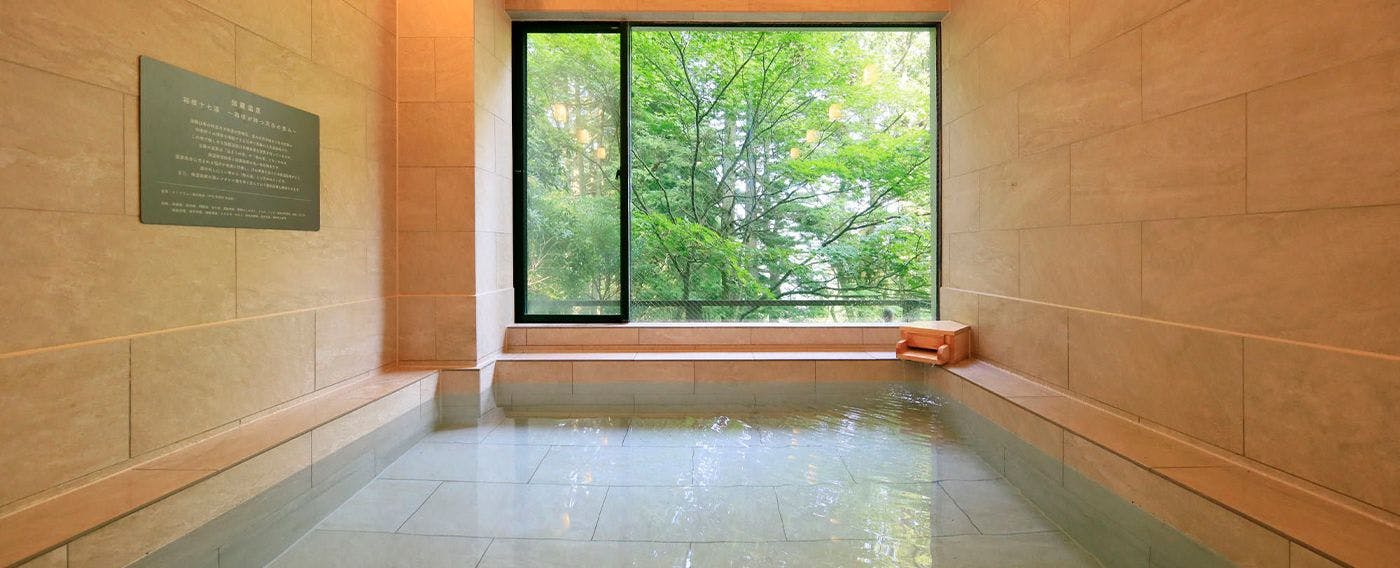 Onsen Large Public Bath