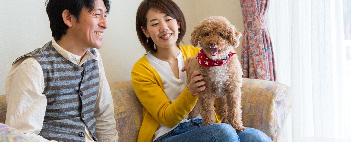 Imej Penginapan Bersama Haiwan Peliharaan