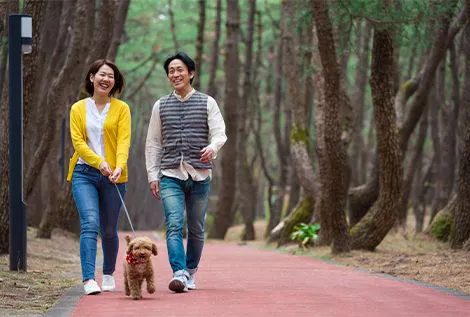 Imej berjalan bersama haiwan peliharaan