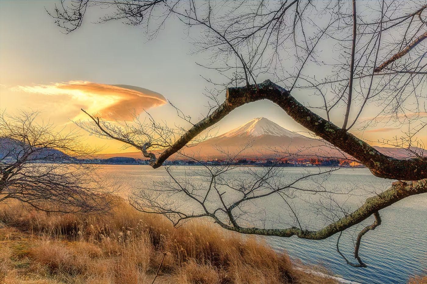 enico.Mt.Fuji - Nagomi