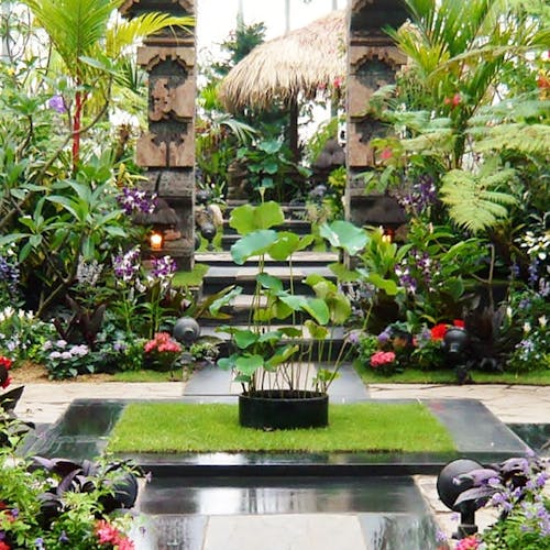 関西の宿で 植物園 をご紹介 最上のひとときをどうぞ 一休 Com 関西の宿で 植物園 をご紹介 最上のひとときをどうぞ 一休 Com