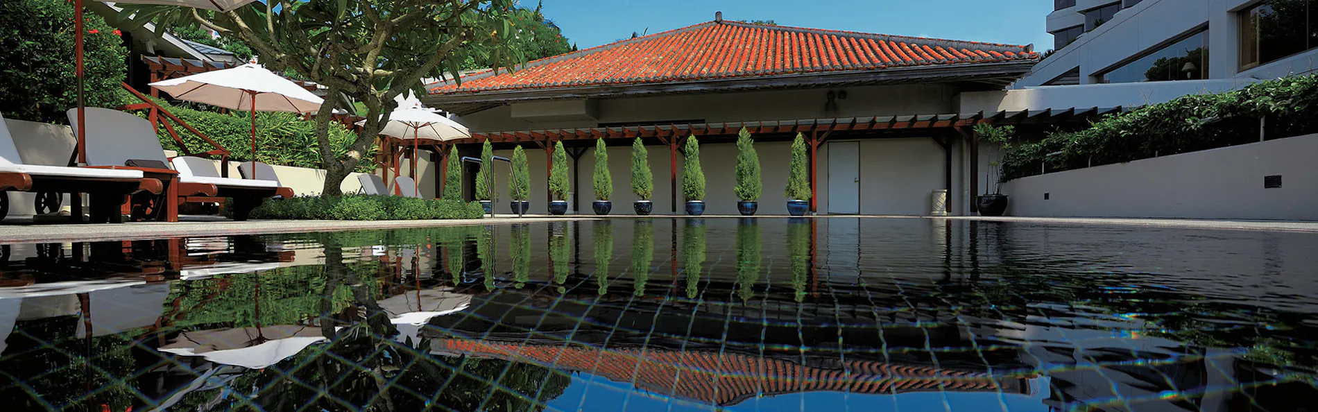 ザ・ナハテラス