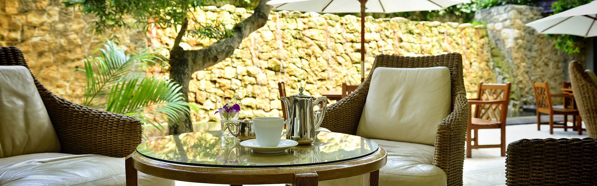 ザ・ナハテラス