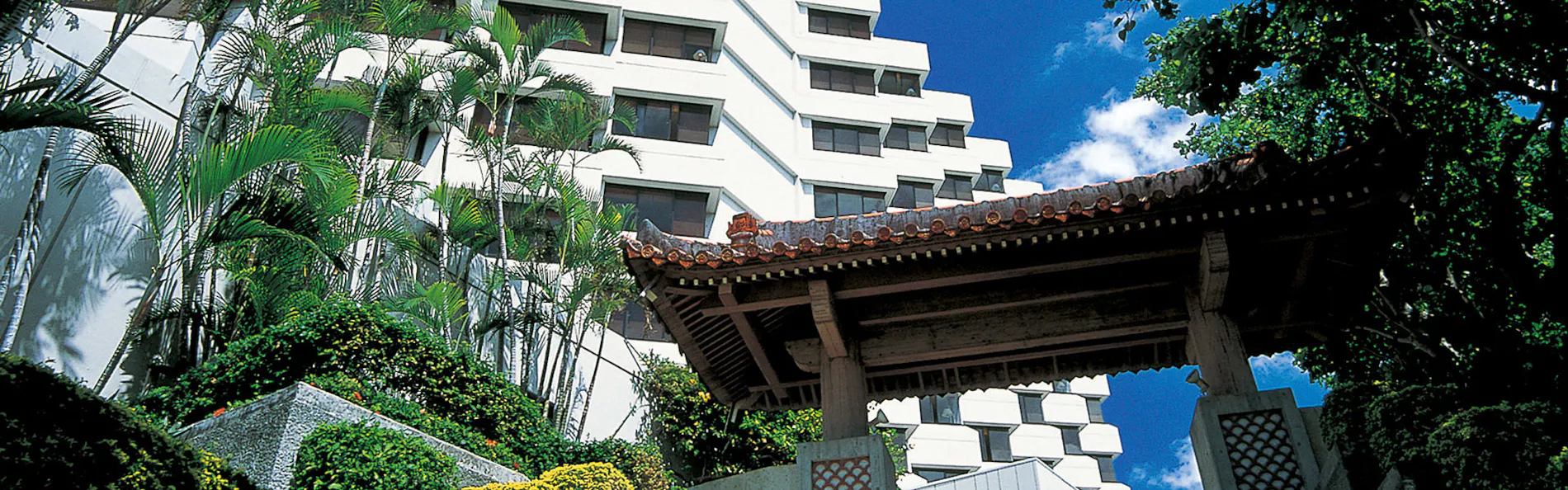 ザ・ナハテラス