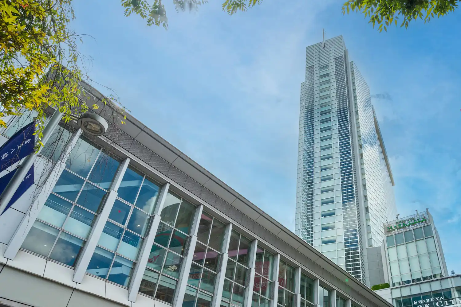 รูปลักษณ์ภายนอก