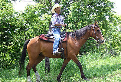 Cocoperi Western Riding