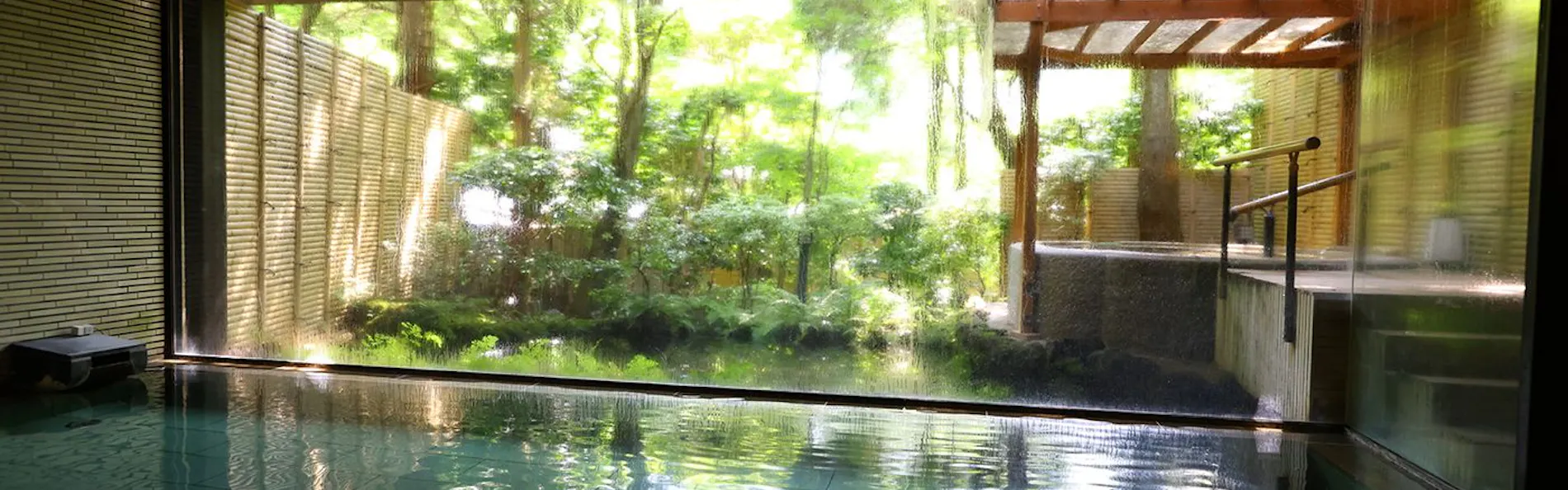 海石榴 つばき