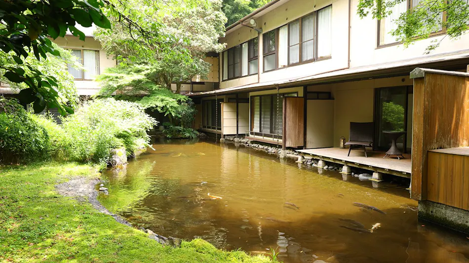 Tsubaki
