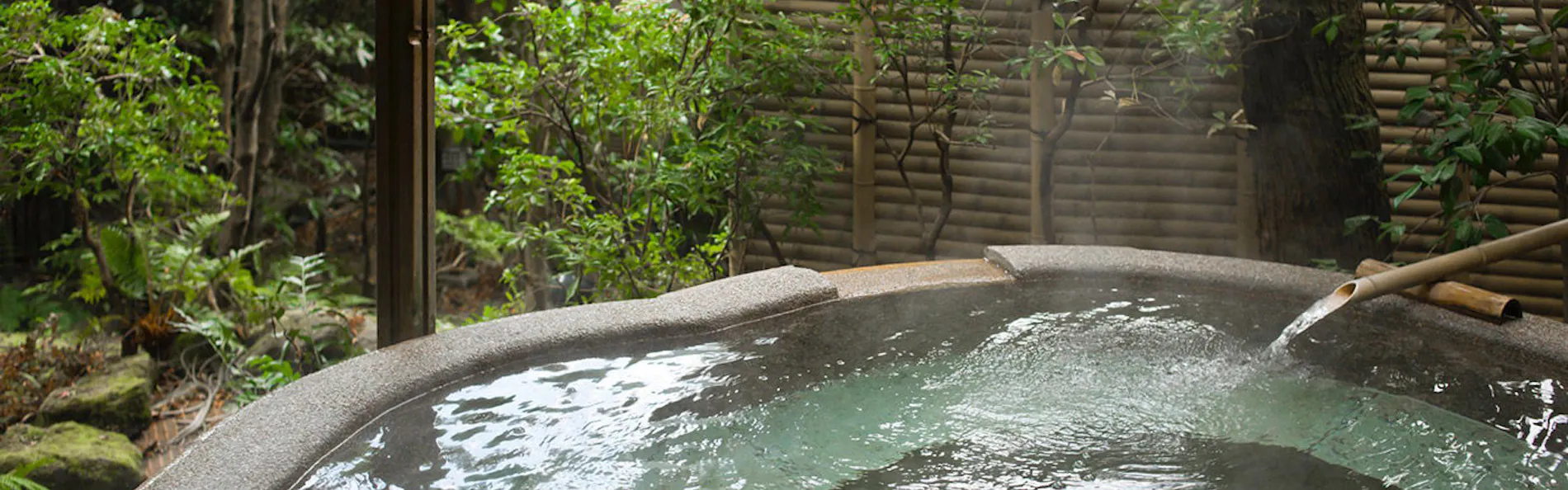 海石榴 つばき
