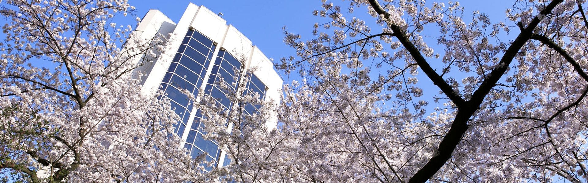 グランドプリンスホテル新高輪を見た人におすすめの近い宿 選 宿泊予約は 一休 Com