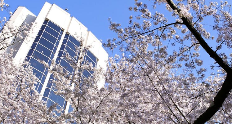 グランドプリンスホテル新高輪を見た人におすすめの近い宿 選 宿泊予約は 一休 Com グランドプリンスホテル新高輪を見た人におすすめの近い宿 選 宿泊予約は 一休 Com