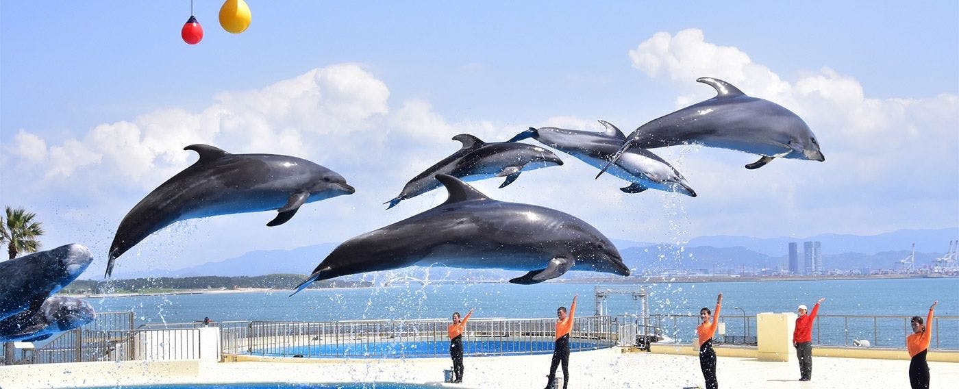 อุโมงค์ใต้ทะเล