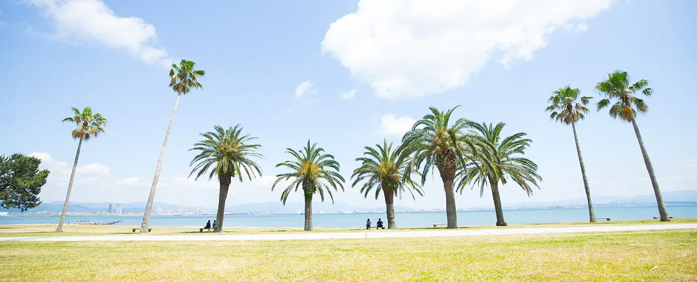 สวนและสระว่ายน้ำ