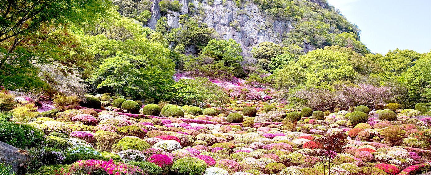 御宿　竹林亭
